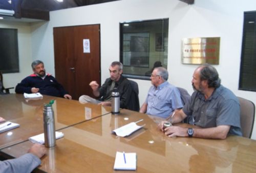 Trabajan para revalorizar al Cerdo Costero Criollo