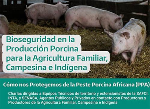 Capacitan en bioseguridad en pequeñas granjas