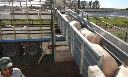 La cooperativa Cotagro comenzó a vender