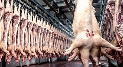 El cerdo de Estados Unidos "es inoportuno", dijeron productores entrerrianos