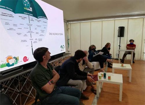 Con el Ppillow se apoya a pequeños productores europeos
