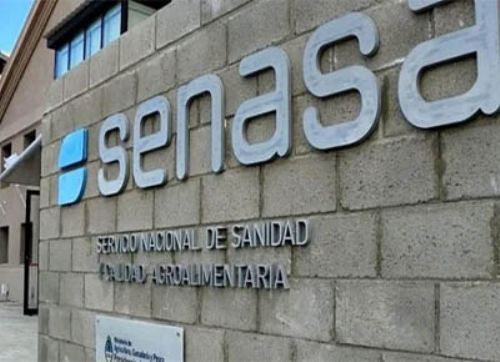 El Senasa impidió el ingreso de cerdos con PRRS desde Brasil