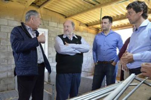 La Pampa apuesta  a la intensificación porcina