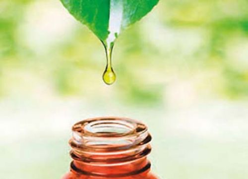 Los aceites esenciales (AE) como aditivos alimenticios en los porcinos