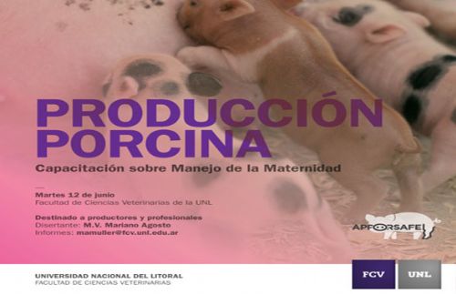 Capacitación sobre Manejo de la Maternidad en la producción porcina