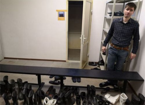 Bioseguridad y precaución por peste porcina en cuatro pasos