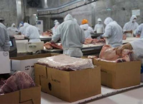 La Argentina exportará carne de cerdo a China por primera vez