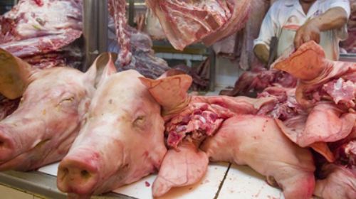 La producción de carne de cerdo creció 7% y ya hay sobrestock por importaciones