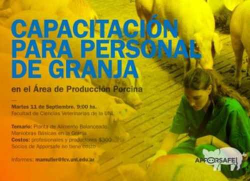Capacitación sobre Planta de Alimento Balanceado porcino