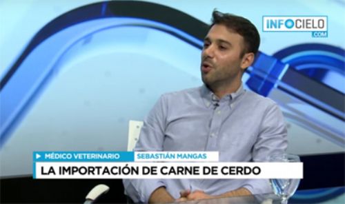 La importación de cerdo preocupa a los productores porcinos bonaerenses