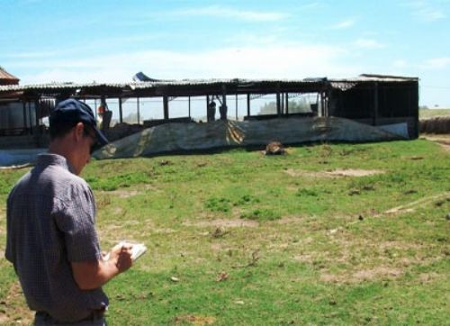 En Chañar Ladeado, los desperdicios de criaderos generan biogás