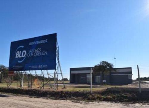 Invierten u$s 20 millones en una granja porcina