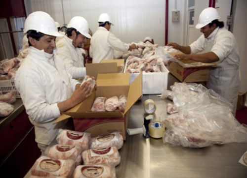 Aumentan reintegros a las exportaciones de la cadena porcina