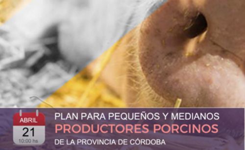 Presentan un Plan Nacional para Pequeños y Medianos Productores Porcinos