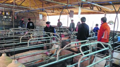 En el Sur también, la producción busca crecer