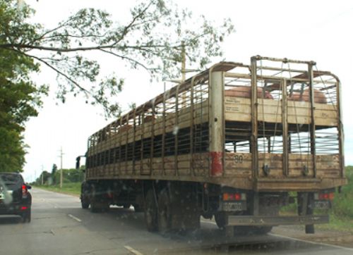 Impacto del aumento del combustible