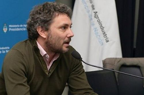 Proyectan crecimiento de consumo de cerdo entre 6 y 8% anual