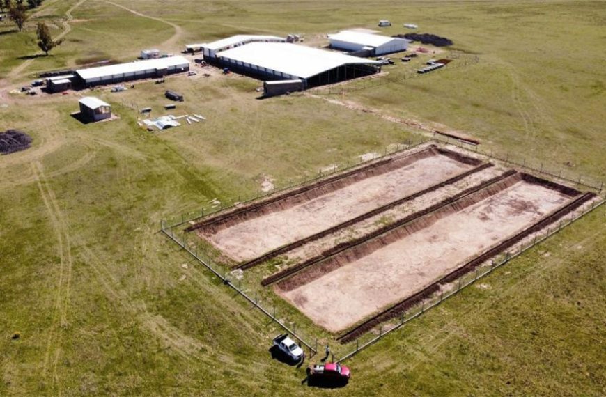 Agroceres invierte para multiplicar genética de punta