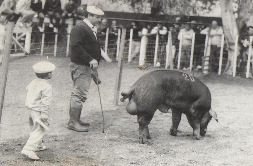 La Blanquita, cabaña pionera en Argentina con genética de punta a medida