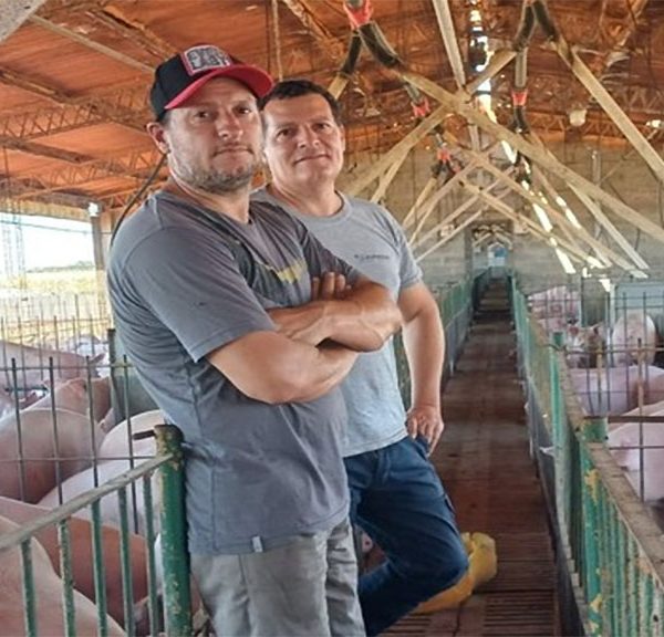 En 2025 se creció por competitividad pero…