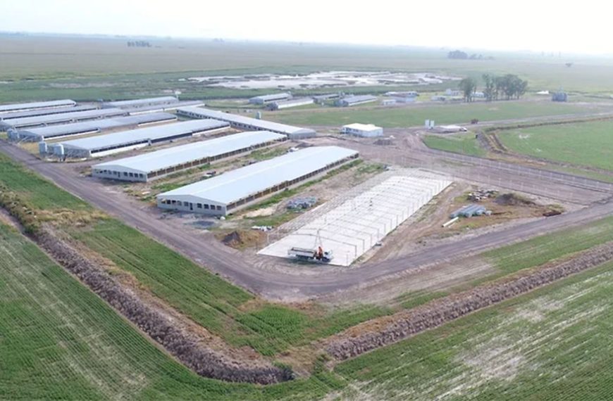 Isowean llega a 15.000 hembras y planea nueva granja
