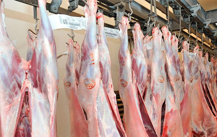 Desafíos y oportunidades en el mercado de exportación porcina