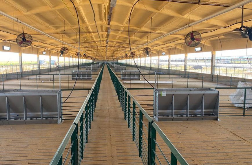 El maíz va al frigorífico en el sudeste cordobés