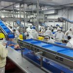 Desde Santa Fe salieron los primeros envíos de carne a Uruguay