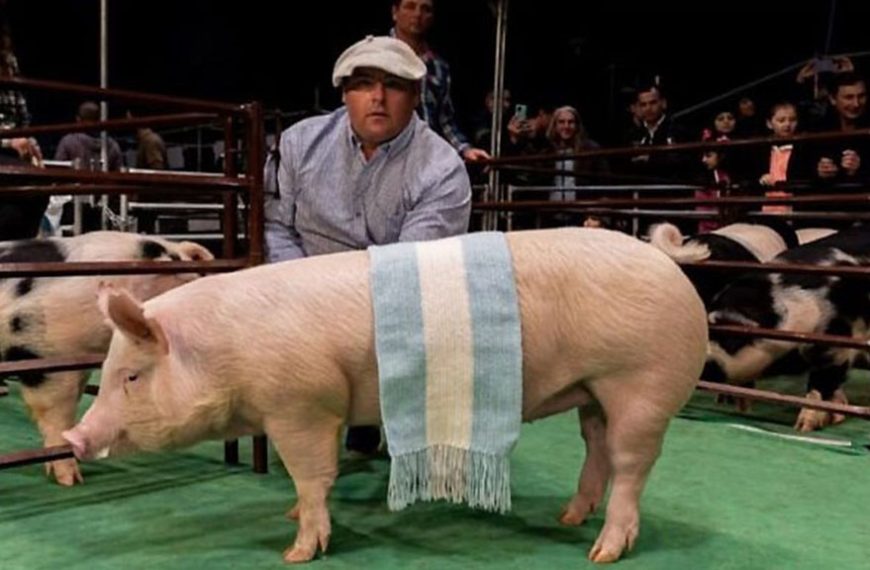 Buena performance de La Blanquita en Expo Rural 2024