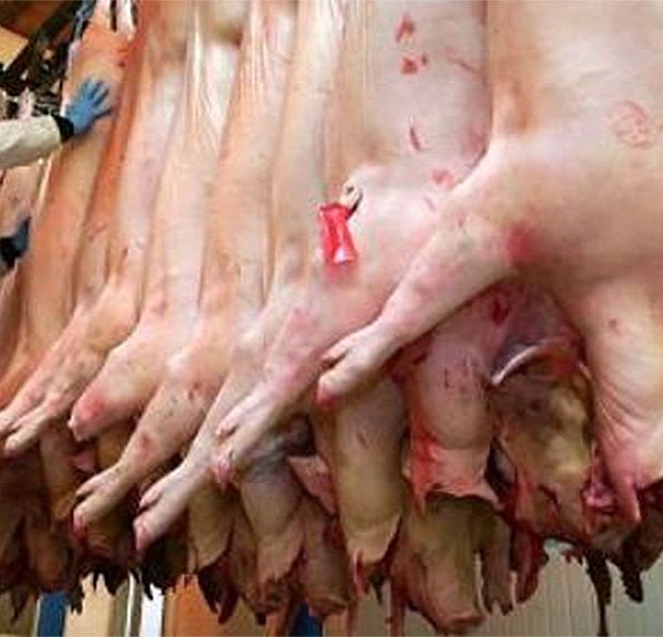 Sensible incremento de la faena en enero