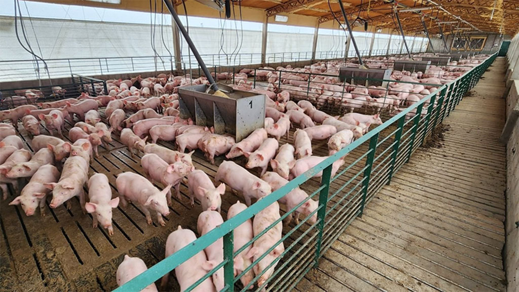 Fuertes distorsiones en precios comparados entre Brasil y Argentina