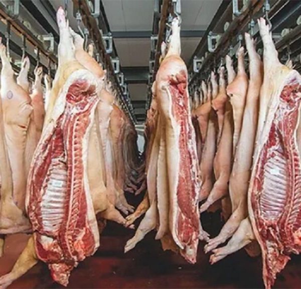 Efecto de la nutrición en la calidad de carne
