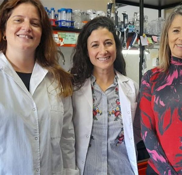 Investigadoras del Conicet acorralan a la brucelosis