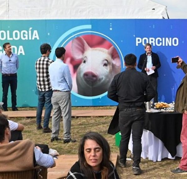 En Agroactiva, el BICE presentó créditos a pagar en kilos/capón