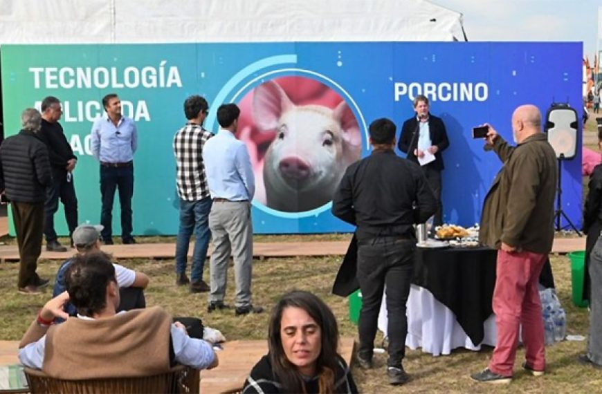 En Agroactiva, el BICE presentó créditos a pagar en kilos/capón
