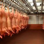 Brasil y Argentina en el mercado de carnes porcina