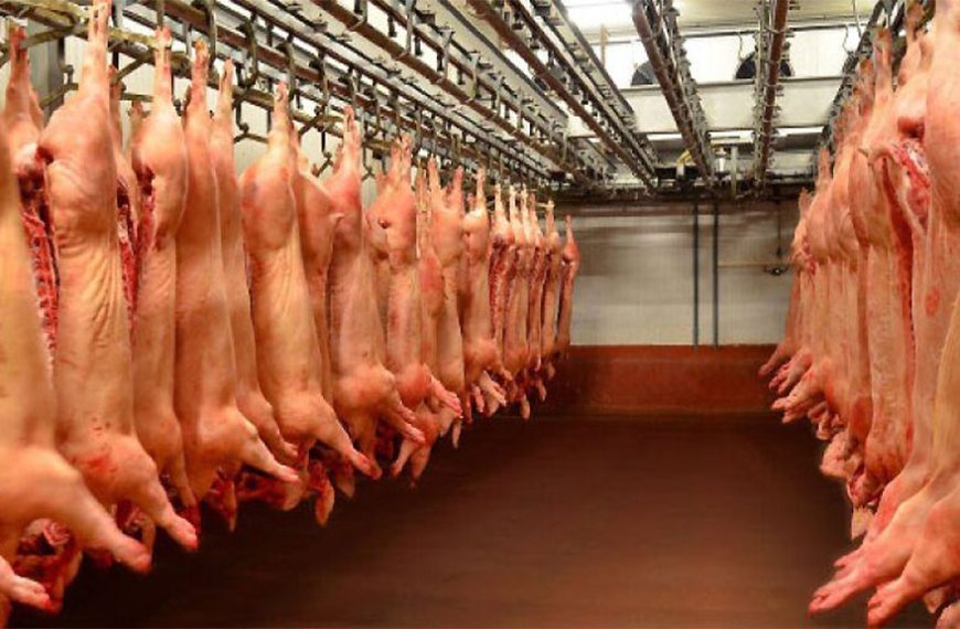 Brasil y Argentina en el mercado de carnes porcina