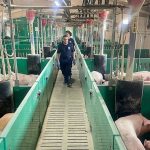 En España ajustan las dietas para reducir impacto ambiental