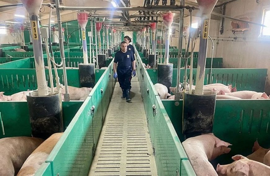 En España ajustan las dietas para reducir impacto ambiental