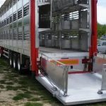El buen manejo en la carga y transporte de animales