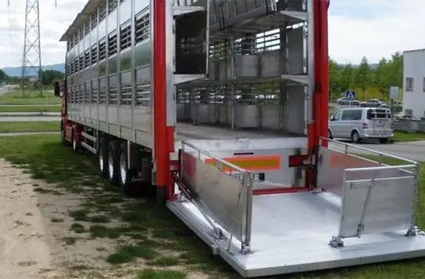 El buen manejo en la carga y transporte de animales