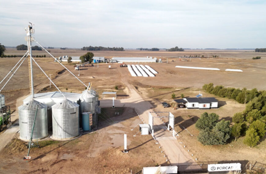 La granja Porcap en Daireaux funciona con una eficiente integración