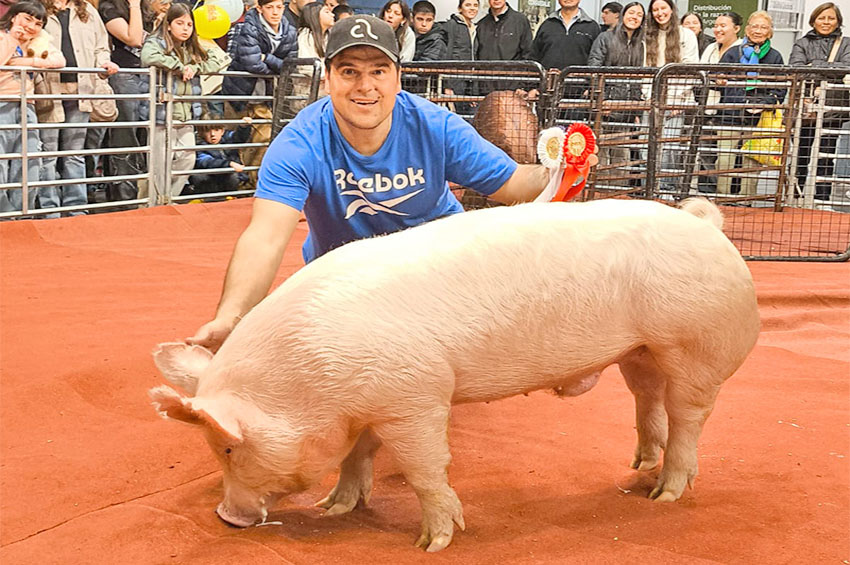 «Don Valentín», la cabaña más ganadora