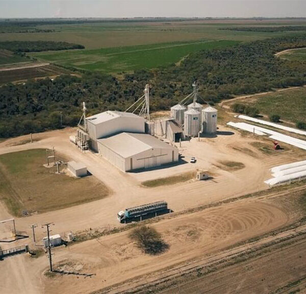 BLD amplía su granja porcina en Córdoba