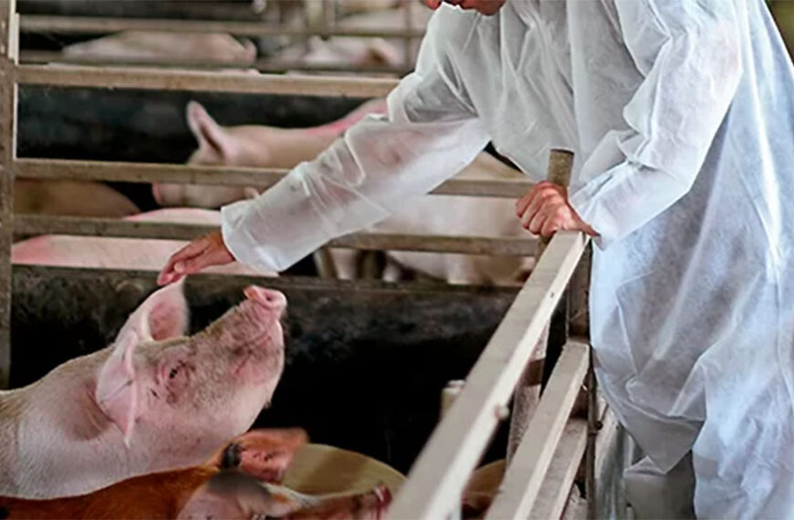 El contacto humano mejora el bienestar animal