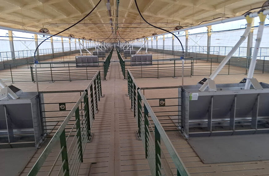 Se puso en marcha la mayor granja porcina del centro de Córdoba