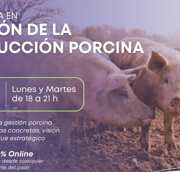 Producción y academia unidas capacitan para la porcicultura que viene
