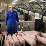 España: la negligencia se lleva puesto al trabajo noble