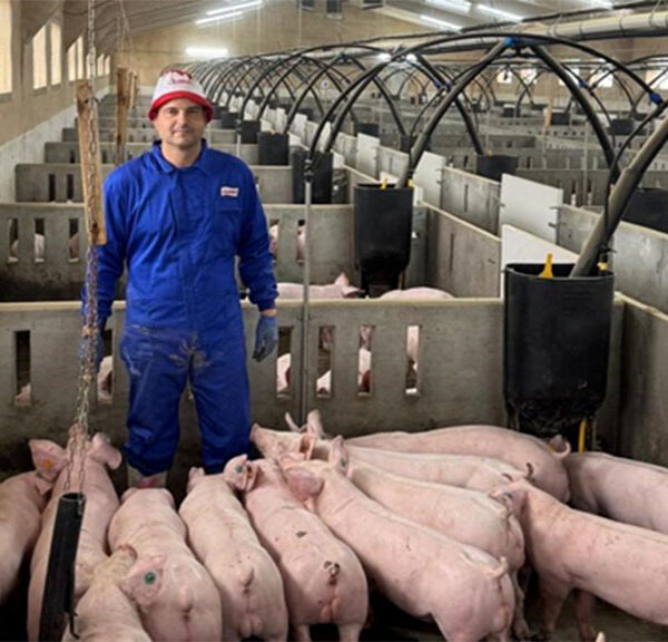 España: la negligencia se lleva puesto al trabajo noble