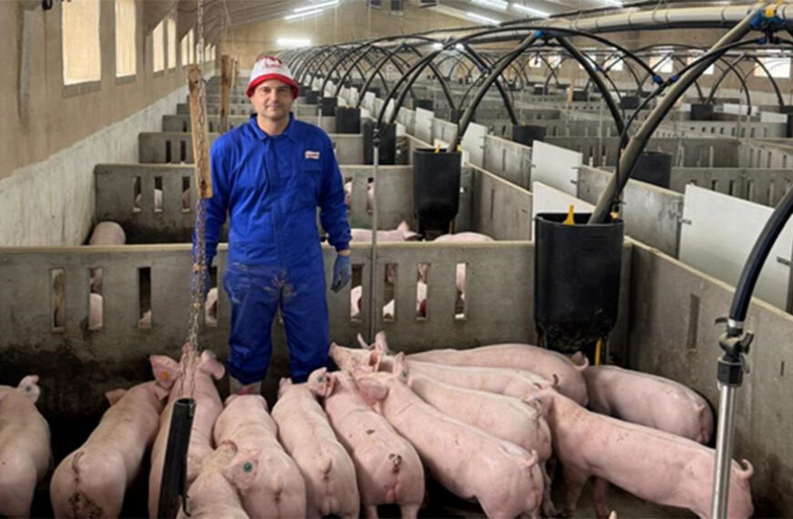 España: la negligencia se lleva puesto al trabajo noble